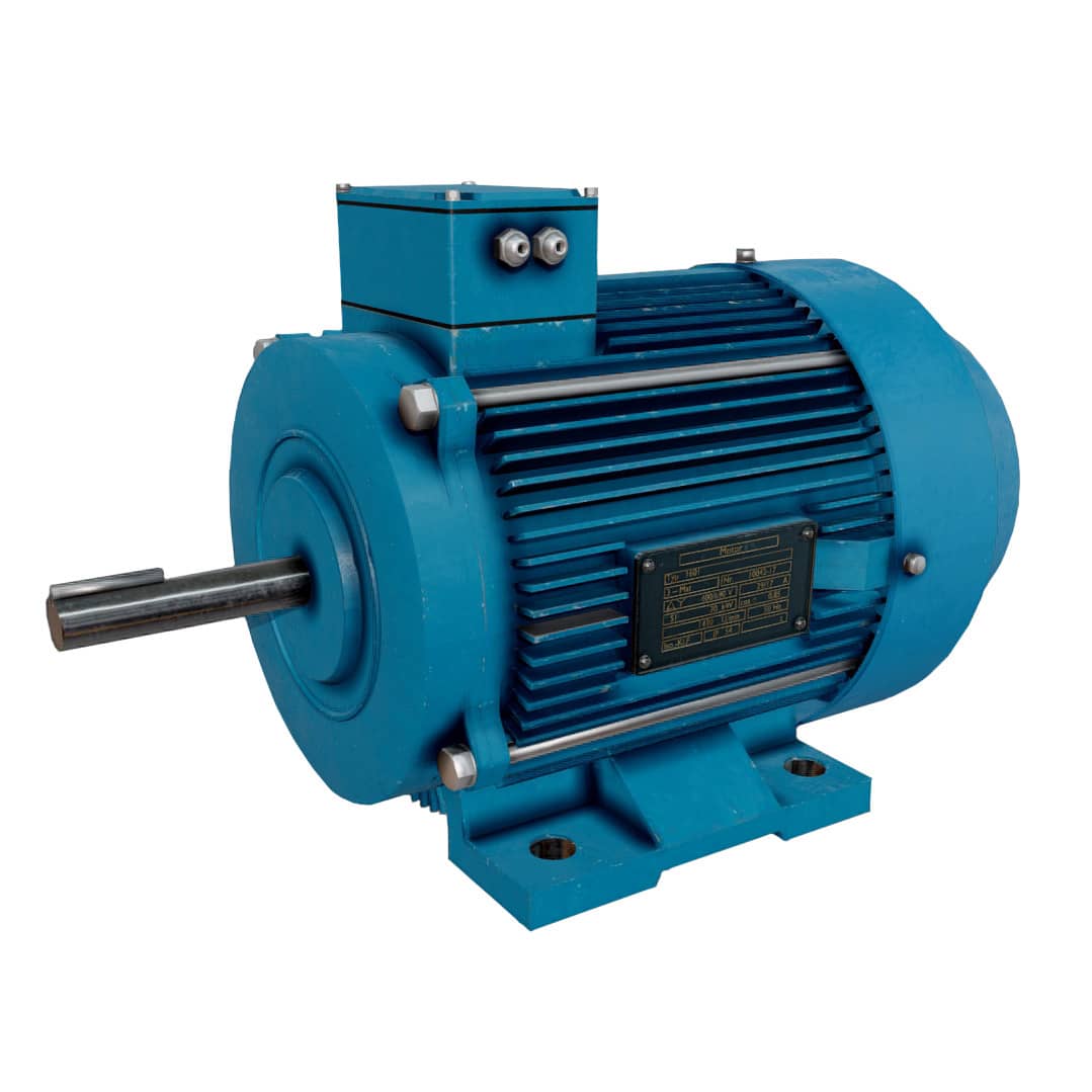 Industrial induction electric motor, squirrel cage
